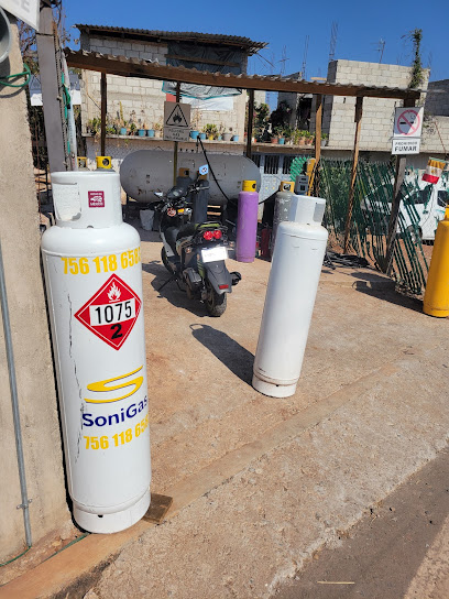 Imagen de la estación Sonigas