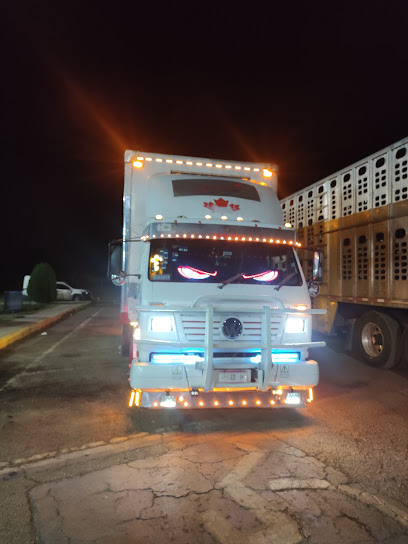 Imagen de la estación Tanques y Maniobras Javier