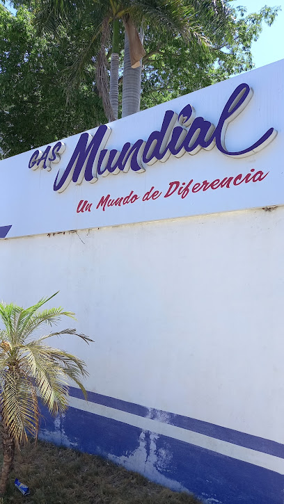Imagen de la estación Venta de Gas LP Sin Nombre