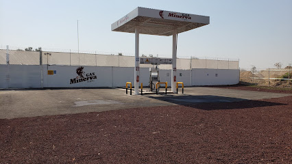 Imagen de la estación Minerva