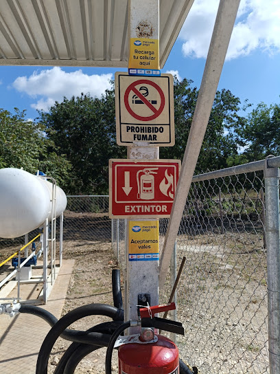 Imagen de la estación La Gas Pomuch