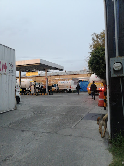 Imagen de la estación Venta de Gas LP Green Energy