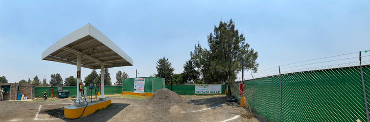 Imagen de la estación Gas Green Energy