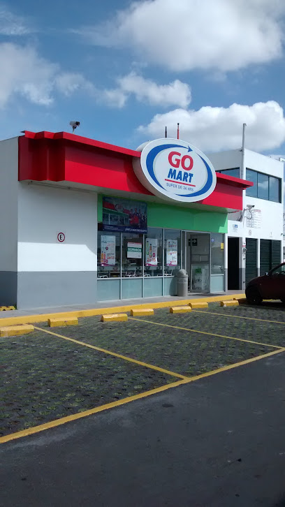 Imagen de la estación Estacion Coacalco Carburacion y Litros Completos