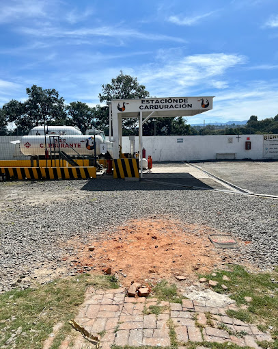 Imagen de la estación Magu