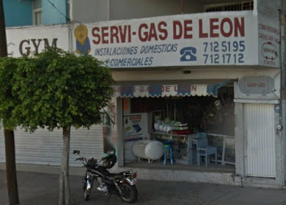 Imagen de la estación Servi Gas de Leon