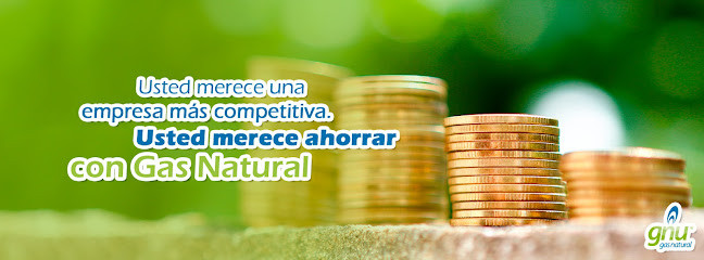 Imagen de la estación Gnu Gas Natural