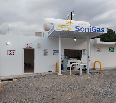 Imagen de la estación Sonigas Puebla