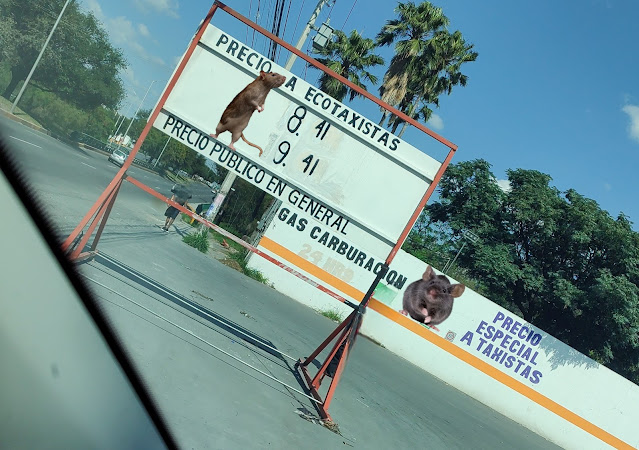 Imagen de la estación Gas Victoria