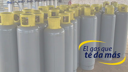Imagen de la estación Distribuidora de Gas Noel