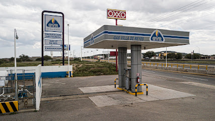 Imagen de la estación Villa de Reyes