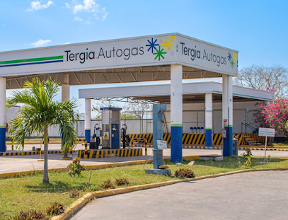 Imagen de la estación Gas Z Matriz