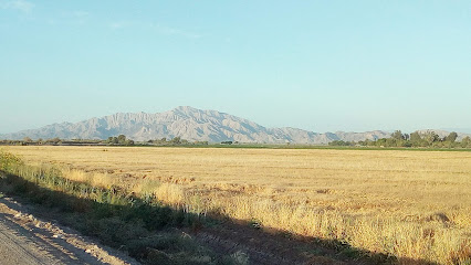 Imagen de la estación Expendio Durango
