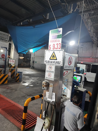 Imagen de la estación Carbucentro Regio Gas Toreo