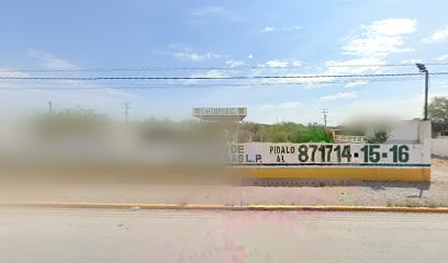 Imagen de la estación Servigas del Guadiana Lerdo II