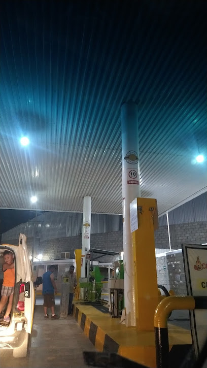Imagen de la estación Combustibles y Gases de Torreon