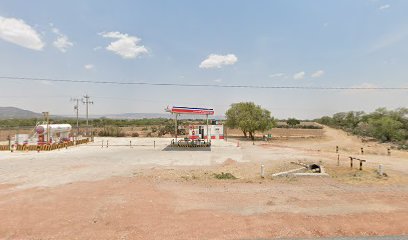 Imagen de la estación Gas de Ojuelos