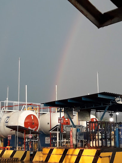 Imagen de la estación Gas Licuado