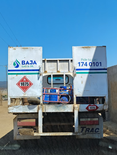Imagen de la estación Gas Silza Camalu