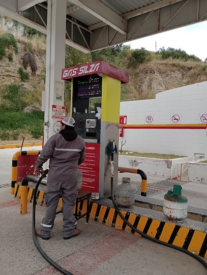 Imagen de la estación Gas Silza Pedregal