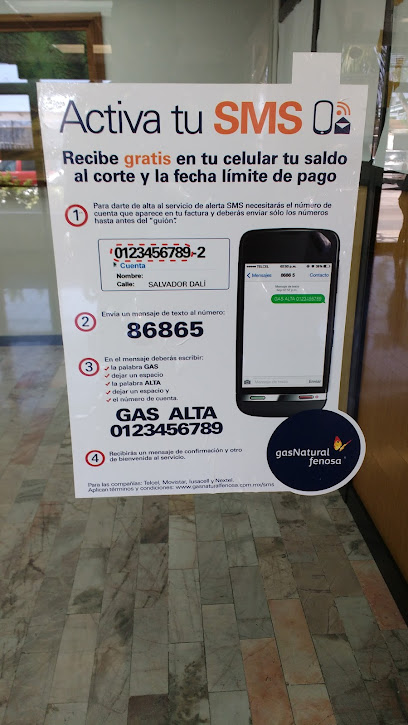 Imagen de la estación Gas Natural Mexico