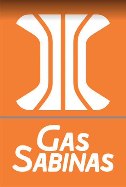 Imagen de la estación Gas Sabinas