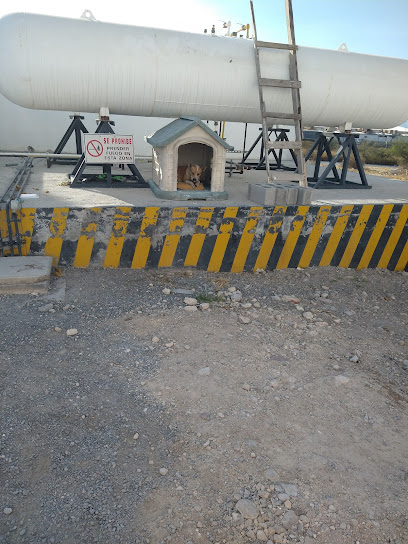 Imagen de la estación Gas Saga