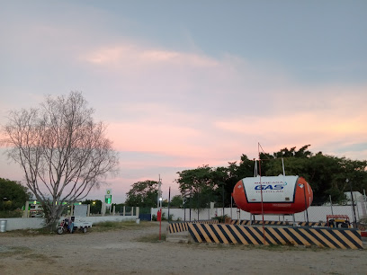 Imagen de la estación Compañia Mexicana de Gas Tomza