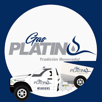 Imagen de la estación Gas Platino