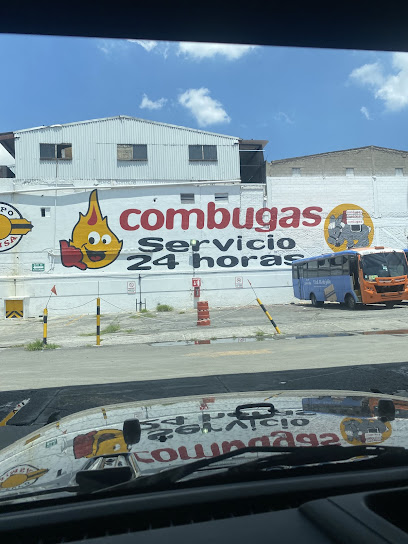 Imagen de la estación Combustibles y Gases de Tepeji Toreo