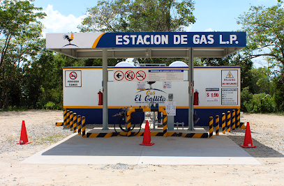 Imagen de la estación Gas el Gallito Macultepec