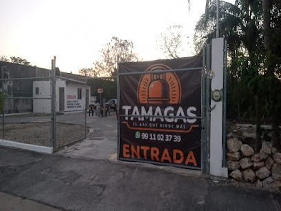 Imagen de la estación Sonigas Motul