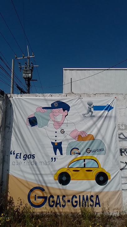 Imagen de la estación Combustibles y Gases de Tepeji Areopuerto