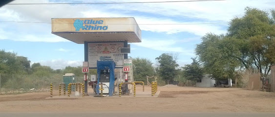 Imagen de la estación Blue Rhino