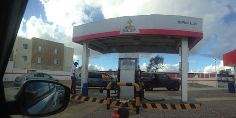 Imagen de la estación Gas Silza Internacional