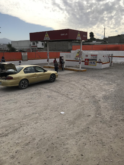 Imagen de la estación Gas Silza Terrazas
