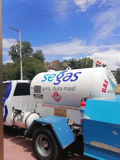 Imagen de la estación Comercializadora y Servicios En Gas LP Segas