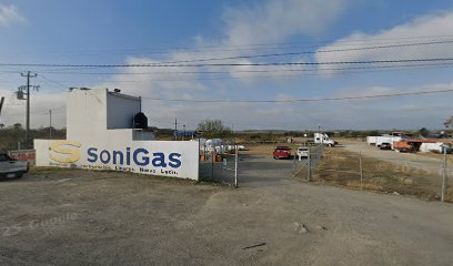 Imagen de la estación Sonigas Linares
