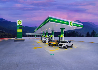 Imagen de la estación Venta de Gas LP Ecologico