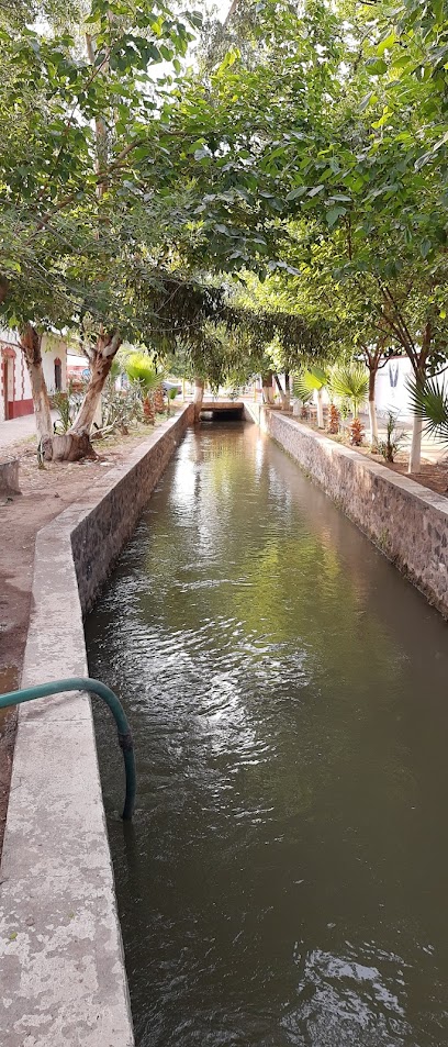 Imagen de la estación Isla Saucillo