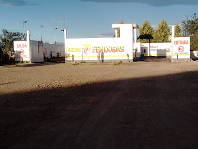 Imagen de la estación Fenix Gas LP