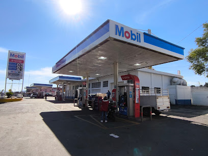 Imagen de la estación Gas Menguc