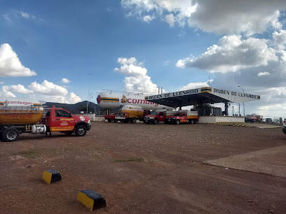Imagen de la estación Combugas Ojocaliente 3