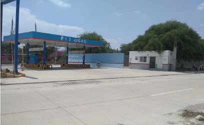 Imagen de la estación Todo Gas Fertimex