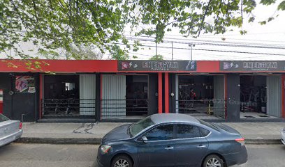 Imagen de la estación Damigas