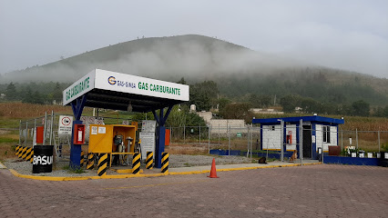 Imagen de la estación Estación de Gas LP Comercial San Miguel Tenochtitlan