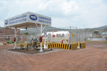 Imagen de la estación Gas Noel
