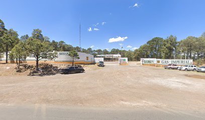 Imagen de la estación Estacion Durango el Salto