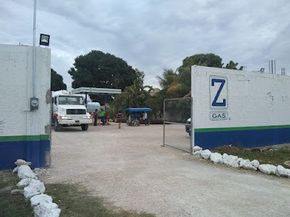Imagen de la estación Gas Z Villas