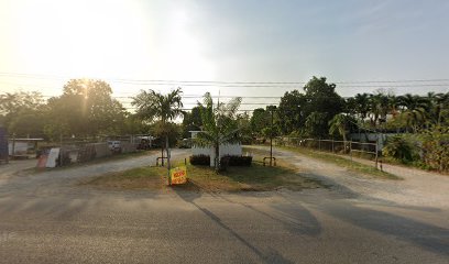 Imagen de la estación Tulipan